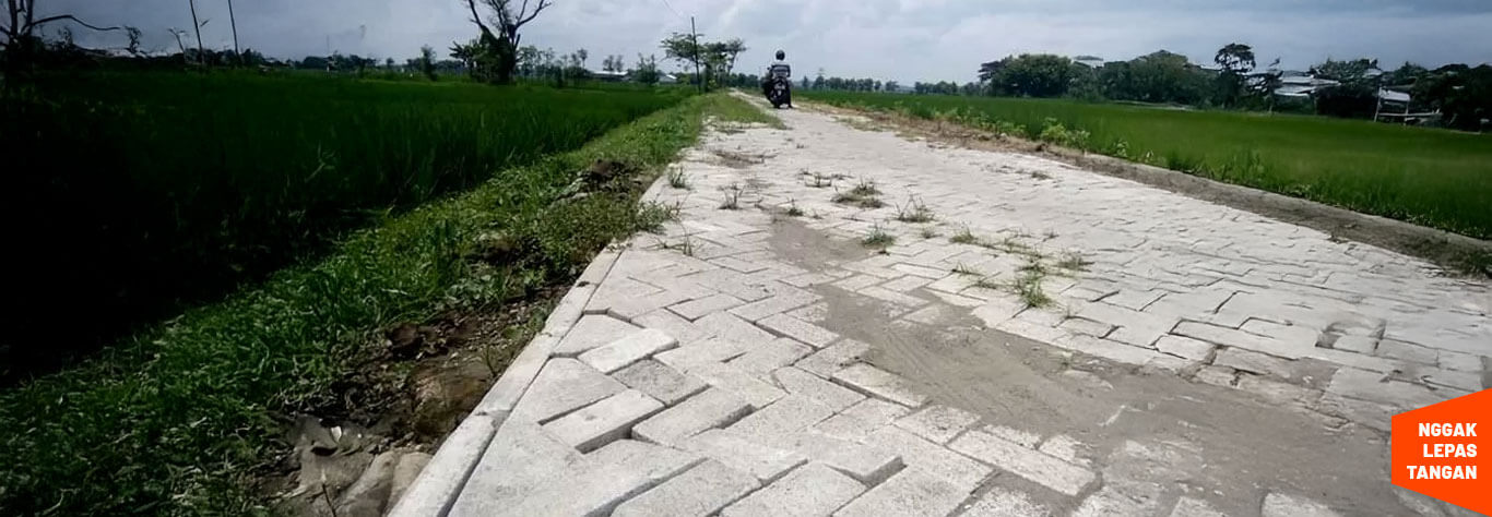 jasa-pasang-paving-block-tumbuh-rumput jasa pasang paving block